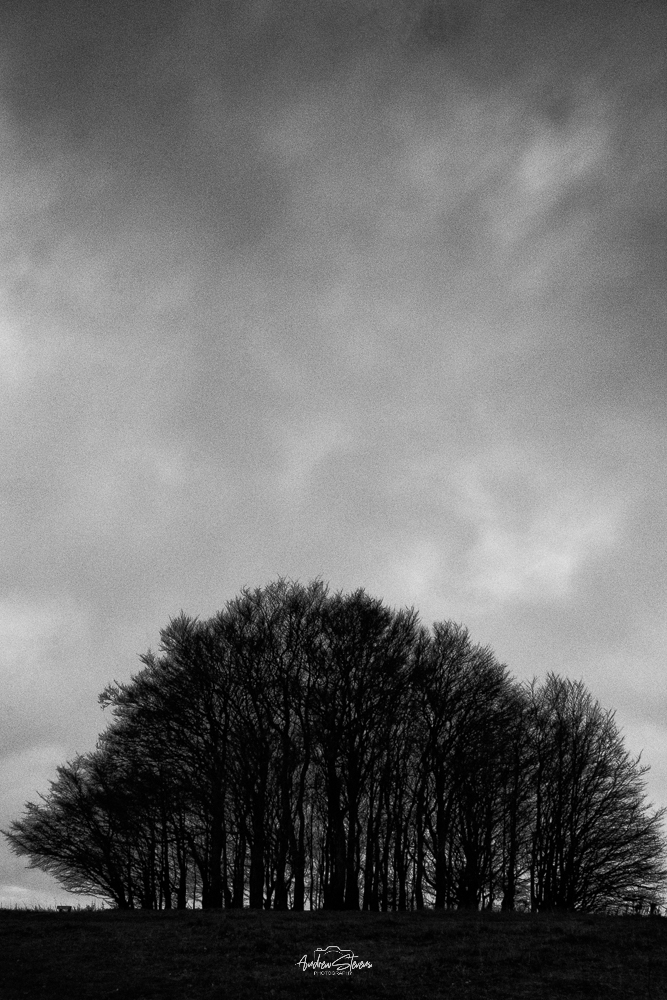 Win Green, Moody